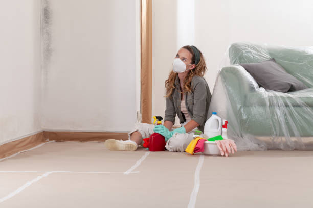 Reliable Mold Removal contractor in Zebulon, GA by WQB Mold Removal